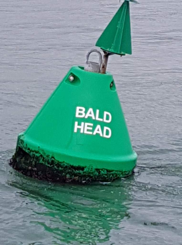 A green sea buoy reading 'bald Head' 