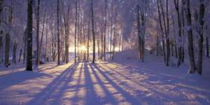 sunglasses in winter